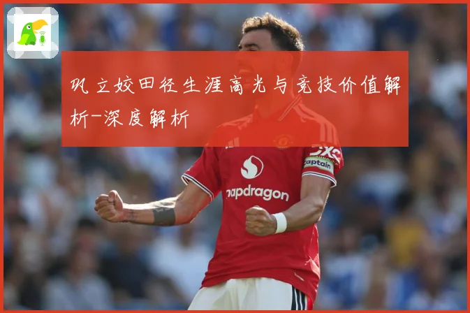 巩立姣田径生涯高光与竞技价值解析-深度解析