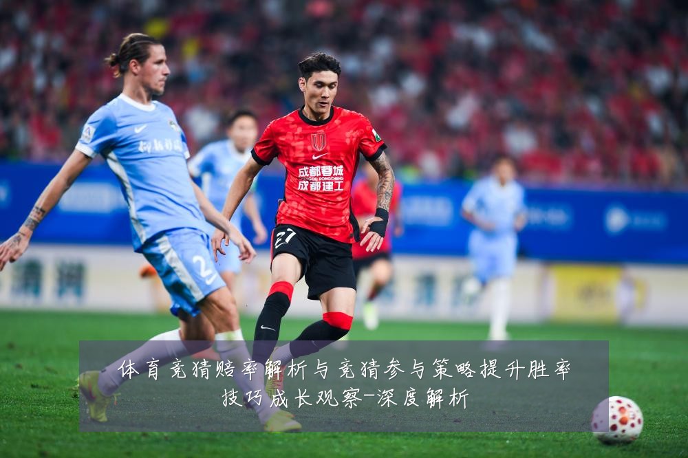 体育竞猜赔率解析与竞猜参与策略提升胜率技巧成长观察-深度解析