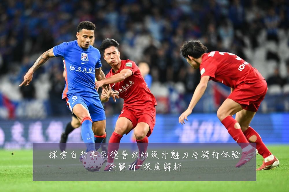 探索自行车范德普尔的设计魅力与骑行体验全解析-深度解析